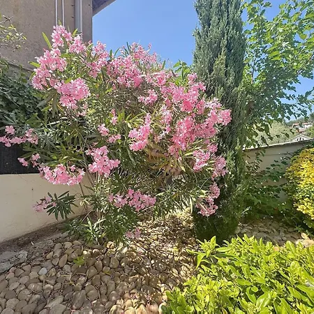 公寓 T3 Private Garden 2 Steps From The Center-clim Saint-Raphaël